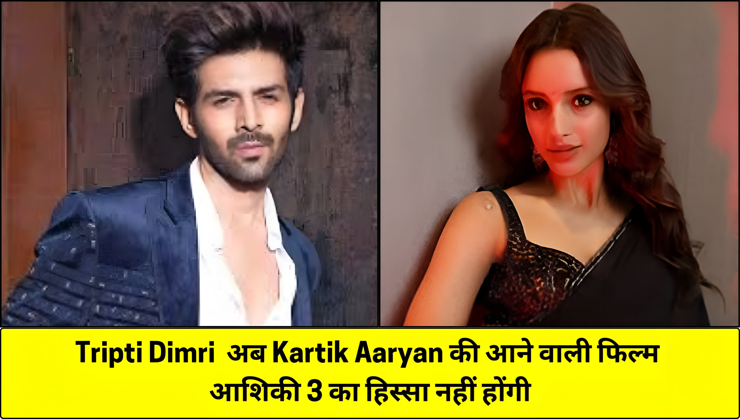 Tripti Dimri exits Aashiqui 3